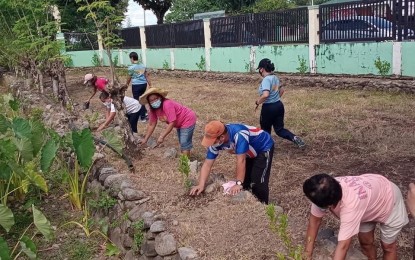 <div dir="auto">
<div dir="auto"><strong>SCHOOL GARDEN</strong>. Education stakeholders of the Solsona National High School in Ilocos Norte plant fruit-bearing trees in this undated photo. Ilocos Norte schools are developing school gardens to promote food security. <em>(File photo by Leilanie G. Adriano)</em></div>
</div>
<div class="yj6qo ajU"><em> </em></div>