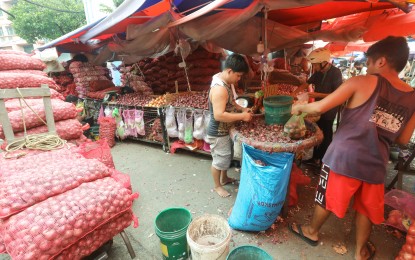 <p><strong>GOOD HARVEST.</strong> Workers display red onions at the Divisoria Market in Manila on Nov. 3, 2023. The Department of Agriculture said Wednesday (May 8, 2024) that the suspension on onion importation may be extended until July this year following a bountiful harvest from March to April. <em>(PNA photo by Yancy Lim)</em></p>