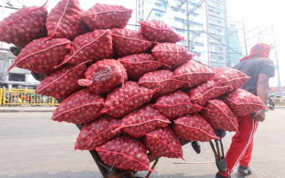 DA orders temporary suspension of onion imports