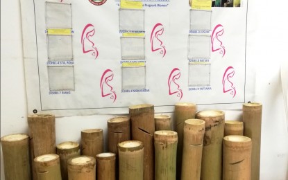 <p><strong>BANCO DE NUEVE</strong>. The Rural Health Unit of Peñarrubia, Abra gives free bamboo coin banks to expectant mothers on their first pre-natal checkup to encourage saving up before they give birth. Municipal health officer Dr. Elsa Gonzales said in an interview Monday (Nov. 6, 2023) that the program contributes to zero neonatal deaths since 2012. <em>(PNA photo by Liza T. Agoot)</em></p>