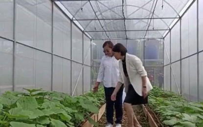 Greenhouse project launched in time for 'Yolanda's' 10th anniv