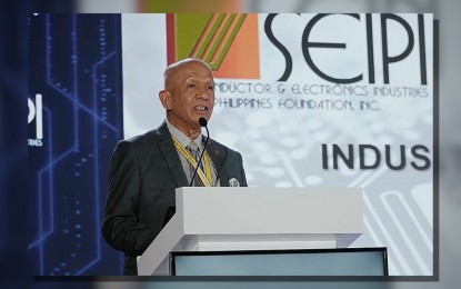 <p>SEIPI president Dan Lachica <em>(Photo taken from SEIPI Facebook page)</em></p>
