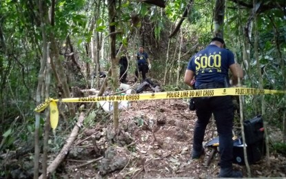 2 NPA fighters killed in southern Negros encounter