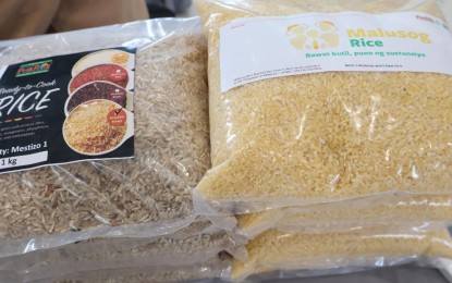 Rice wastage enough to feed 2.5M Filipinos annually