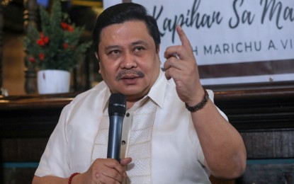 <p>Senate President Pro Tempore Jinggoy Estrada <em>(PNA photo by Yancy Lim)</em></p>