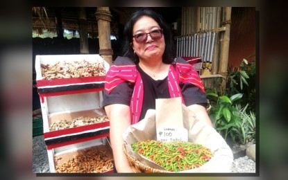 <p><strong>SAFE FOOD</strong>. Lawyer Jennilyn Dawayan, regional director of the Department of Agriculture in the Cordillera, carries a basket of organically produced native chili from Benguet during her rounds on Tuesday (Nov. 14, 2023) at the agri-tourism fair called Adivay Festival, which is now on its 18th year, at the Wangal Sports Complex in the capital town La Trinidad. Dawayan said vegetables produced in Benguet are very safe for human consumption since many farmers are adopting Good Agricultural Practices and organic way of production. <em>(PNA photo by Liza T. Agoot)</em></p>