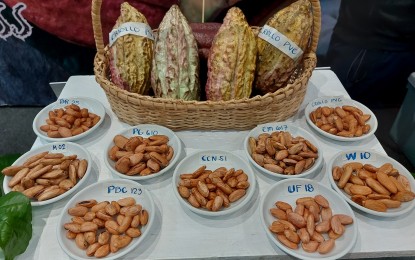 Nat’l cacao congress highlights latest technology, innovations