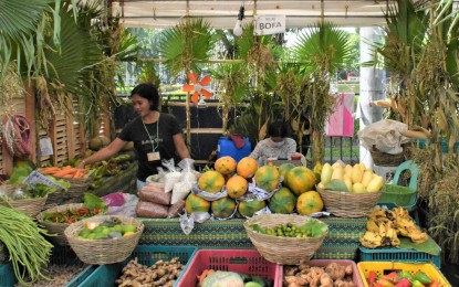 <p><strong>ORGANIC FARM PRODUCE</strong>. One of the booths selling organic farm produce during the 16th Negros Island Organic Farmers Festival held at the Provincial Capitol grounds in Bacolod City on Nov. 15 to 19, 2023. The five-day event generated some PHP2.7 million in total sales, data from the provincial government on Monday (Nov. 20) showed. (<em>Photo courtesy of PIO Negros Occidental</em>)</p>