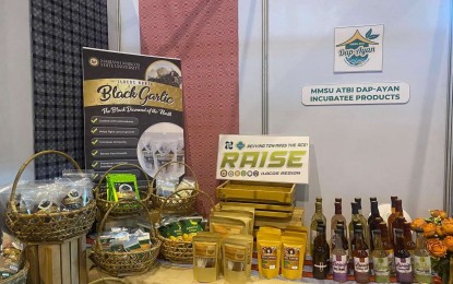 <p><strong>TRADE FAIR</strong>. Some of the products of Ilocos Norte’s micro, small and medium enterprises (MSMEs) that are on display at the ongoing trade fair organized by the Department of Trade and Industry (DTI) at the Robinsons Ilocos from Nov. 16-22, 2023. The Anvil Business Club, a group of young Filipino-Chinese businessmen, has donated PHP1 million to boost local MSMEs and committed to provide mentoring program. <em>(File photo by Leilanie Adriano)</em></p>