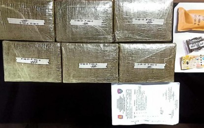 <p><strong>SEIZED.</strong> The confiscated pieces of evidence that include dried marijuana in a buy-bust in Malolos City, Bulacan on Friday (Nov. 24, 2023). A separate drug sting in Balagtas town also led to the confiscation of drugs with a combined total worth of nearly PHP1 million.<em>(Photo courtesy of Bulacan Police Provincial Office)</em></p>