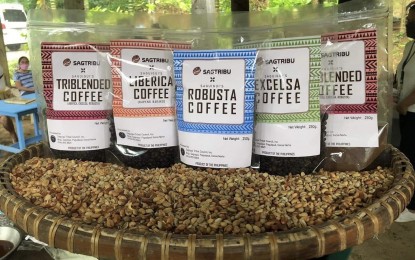 <div dir="auto">
<div dir="auto"><strong>KAPENG ILOKANO</strong>. Some of the coffee products of the coffee producers in Barangay Saguigui, Pagudpud, Ilocos Norte are on display in this undated photo. A coffee and food festival is set on December 13-14, 2023 to boost coffee business in Ilocos Norte. <em>(Photo courtesy of Pagudpud LGU)</em></div>
</div>