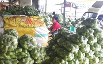 <p><strong>BETTER CONDITION</strong>. Around two million kilograms of assorted vegetables are traded from the Cordillera daily, contributing a huge portion to the country’s economy. Department of Agriculture Regional Director lawyer Jennilyn Dawayan said Agriculture Secretary Francisco Tiu Laurel wants a closer look at statistics to determine how to improve vegetable production and help address price fluctuations. <em>(PNA photo by Liza T. Agoot)</em></p>