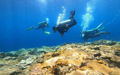 <p><strong>MORE DESTINATIONS.</strong> A diving site in Borongan City, Eastern Samar in this Oct. 1, 2023 photo. The city government here is diversifying its tourism offerings beyond the surfing season. <em>(Photo courtesy of Borongan City information office)</em></p>
