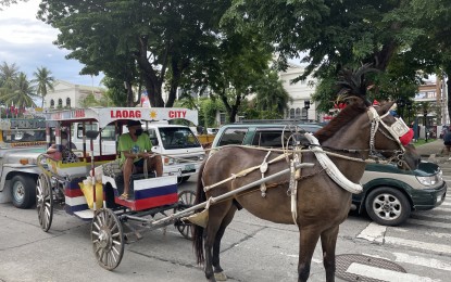 <p><strong>TRANSPORT STRIKE-FREE</strong>. Public transport operations remain normal in Ilocos Norte on Dec. 14, 2023 amid the nationwide strike being staged by the Pinagkaisang Samahan ng mga Tsuper at Operator Nationwide (PISTON). The two-day strike in Metro Manila is in effect until Friday (Dec. 15, 2023). <em>(PNA photo by Leilanie Adriano)</em></p>