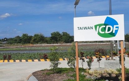 Taiwan opens demo farm to boost production of Luzon farmers
