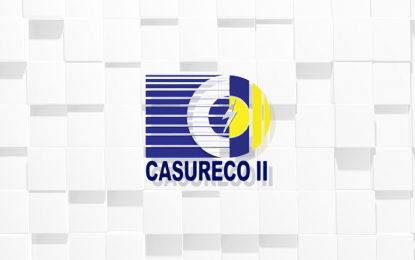 CTA: CamSur province can't impose franchise tax on power coop