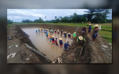 DSWD eyes 'LAWA at BINHI' project to combat El Niño effects