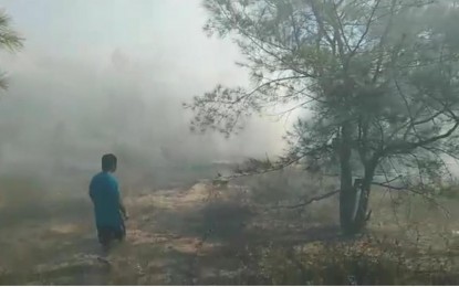 Laoag vice mayor urges public to prevent forest fire