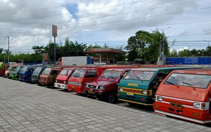 <p><strong>TRADITIONAL PUJs.</strong> Traditional jeepneys operating in Bacolod City in this undated photo. Data on Tuesday (Jan. 2, 2023) showed that only 23 percent or 540 of the 2,313 traditional jeepneys in the city have consolidated into either a cooperative or a corporation, which is the first step of the Public Utility Vehicle Modernization Program. (<em>PNA-Bacolod file photo)</em></p>