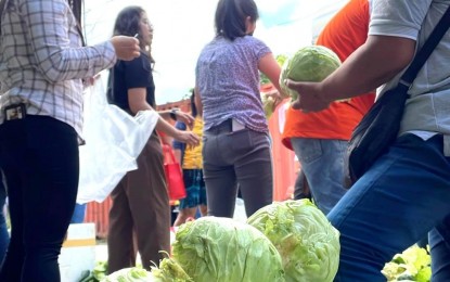 Farmers use 'Kadiwa ng Pangulo' to sell oversupply of cabbage