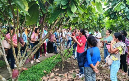 <p><strong>GOV'T AID.</strong> Members of farmers' cooperatives and associations (FCAs) in Camarines Sur province attend a seminar on cacao management practices and marketing in this undated photo. A total of PHP4.2 million worth of interventions will be distributed by the Department of Agriculture-Bicol to 16 FCAs in the province. <em>(Photo courtesy of Lovella Guarin)</em></p>