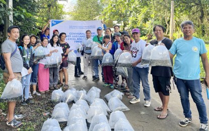 <p><strong>BOUNTIFUL YIELD AHEAD</strong>. The provincial government of Laguna distributes more than 30,000 tilapia fingerlings to 25 fish pond operators in this December 2023 photo. The distribution was under the Office of the Provincial Agriculturist, in collaboration with the Municipal Agricultural Office of Pangil.<em> (Photo courtesy of Laguna-PIO)</em></p>