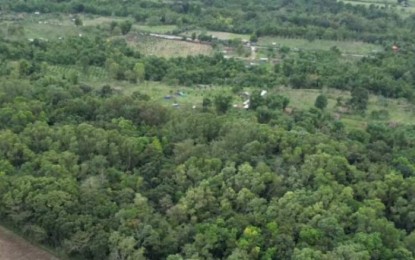 <p><strong>TREE PARK</strong>. A portion of the 8.7-hectare Bacolod Tree and Eco Park in Barangay Alangilan in this photo taken on Jan. 14, 2024. The city government, headed by Mayor Alfredo Abelardo Benitez, allotted PHP47 million to improve the green space funded under its PHP4.4-billion loan from the Development Bank of the Philippines. (<em>Photo courtesy of Albee Benitez's Facebook page</em>)</p>