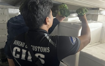 BOC finds P5-M 'smuggled' vegetables, fruits in Manila warehouses