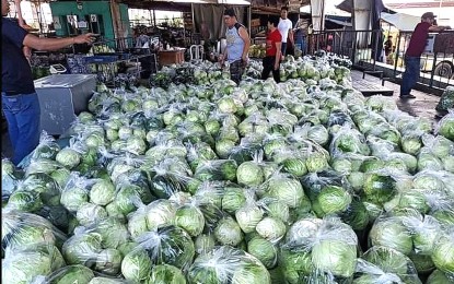 Nearly 150 tons of cabbage sold through 'Veggie Connect'