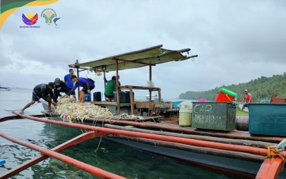 <p><strong>ILLEGAL FISHING.</strong> One of the two apprehended fishing vessels apprehended within the Samar Sea. Authorities seized modified Danish seine, an illegal fishing gear locally termed as hulbot-hulbot. <em>(Photo courtesy of BFAR Region 8)</em></p>