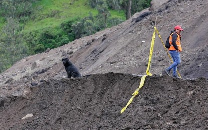 Dozens buried in landslide in southwestern China