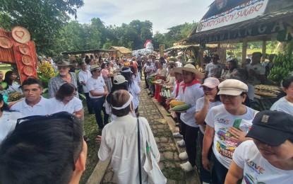 500 tourists join northern Cebu escapade ‘Suroy Suroy Sugbo’