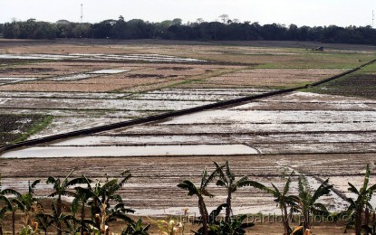 <p><strong>CROPPING SEASON.</strong> Rice fields are being prepared for the next cropping season in this undated photo, which will start sometime in the second quarter of 2024. The Department of Agriculture in Negros Oriental said some 32,000 rice farmers will receive PHP5,000 cash assistance in February while seeds and fertilizers will be distributed later. <em>(PNA file photo by Mary Judaline Flores Partlow)</em></p>