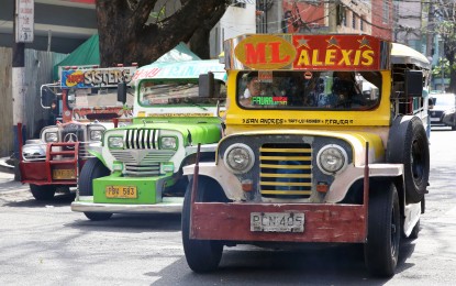 <p><strong>JEEPNEYS.</strong> Traditional jeepneys ply Agoncillo Street corner Pedro Gil in Manila on Jan. 25, 2024. Land Transportation Office chief, Assistant Secretary Vigor Mendoza II on Thursday (Sept. 19) ordered more frequent and random anti-overloading operations against both cargo trucks and public utility vehicles as part of the government's push for safer roads. <em>(PNA photo by Yancy Lim)</em></p>