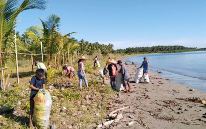 E. Samar distributes nearly 3K bags of rice to coastal cleaners