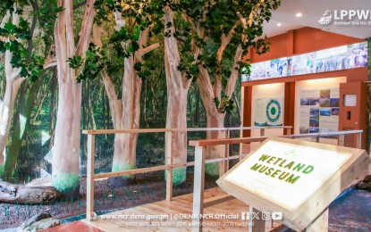 <p>The newly inaugurated Las Piñas-Parañaque Wetland Park (LPPWP) museum. <em>(Photo from LPPWP Facebook page)</em></p>