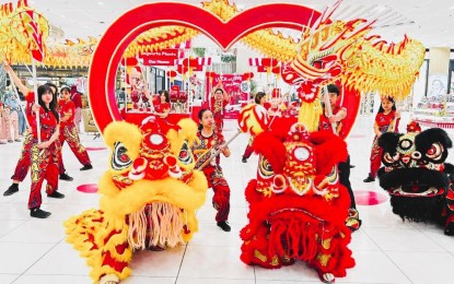 Lion, dragon dances spice up Chinese New Year event in Tuguegarao