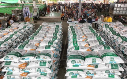 166K rice farmers in W. Visayas get certified seeds for dry season