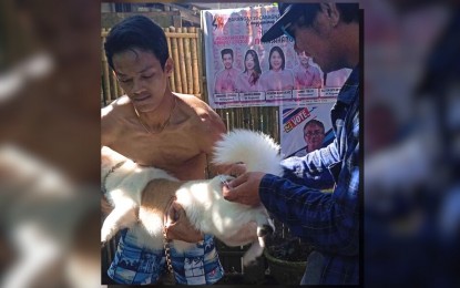 <p><strong>RABIES PROTECTION</strong>. A dog owner holds his pet during a vaccination activity of the City Veterinary Office (CVO) in Legazpi City in this undated photo. Legazpi is now considered rabies-free after hitting the 95-percent vaccination target rate of the total population of registered dogs.<em> (Photo courtesy of Legazpi CVO)</em></p>