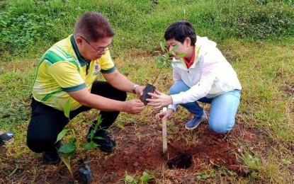 Legazpi residents plant over 3K trees to mark Valentine's Day