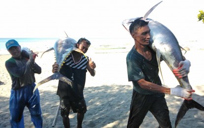 Mindoro town fishers make record tuna harvests via gov't tech aid
