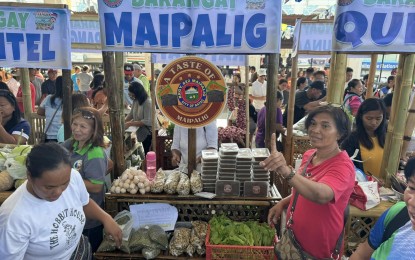 'Kadiwa ng Pangulo' in Batac offers more affordable goods to Ilocanos