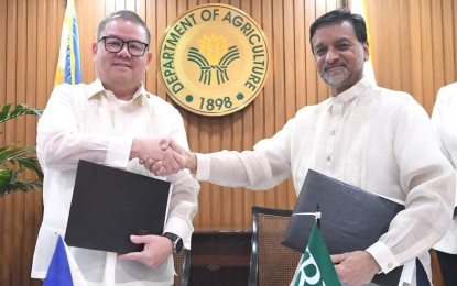 DA, IRRI to scale up research, boost rice production in PH
