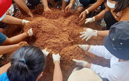 <p><strong>SKILLS TRAINING</strong>. Residents of Adams, Ilocos Norte train on mushroom production in this undated photo. Various skills training is being offered by the Technical Education and Skills Development Authority to equip people additional skills and allow them to have alternative source of income. <em>(Photo by Leilanie Adriano)</em></p>