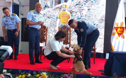 VP Sara honors heroism of rescue dog in Davao Oro landslide