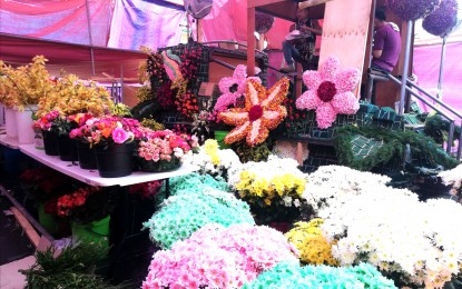 Panagbenga posts record-breaking float participants with 33
