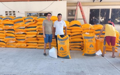 Ilocos Norte rice farmers receive fertilizer vouchers, veggie seeds
