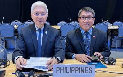 PH backs advancement of sustainable trade at WTO meet
