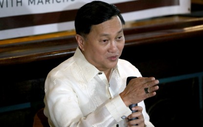 <p>Senator Francis Tolentino <em>(PNA photo by Yancy Lim)</em></p>