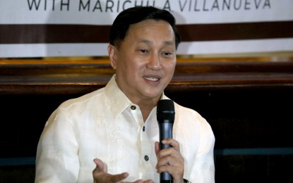 <p>Senator Francis Tolentino <em>(PNA photo by Yancy Lim)</em></p>